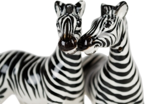 Zebra Cruet Set