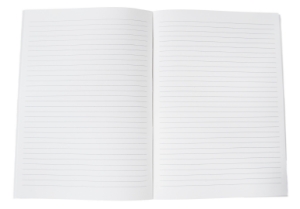 Enya Refillable Journal