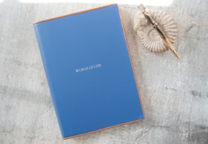 Cortona Journal