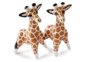 Giraffe Cruet Set