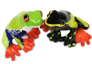 Friends of the Earth. A charming Frog perched on a unique Cruet Set with exquisite background detail of a lily pad to give extra depth. Blue Witch brings this little creature to life.