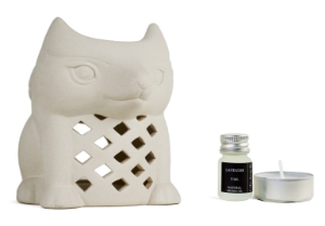 Picture of Fox Oil Burner