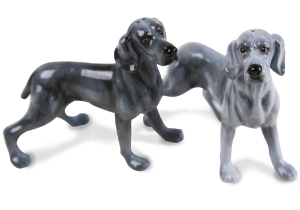The fearless and headstrong Weimaraner originates from Germany where it was bred to track and hunt large game and its instincts mean it is still used as a guard and watchdog, although it is also a much-loved family pet. Beautifully presented on this Blue Witch ceramic.