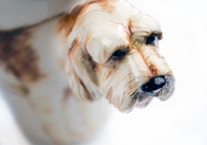 Italian Spinone Coffee Mug