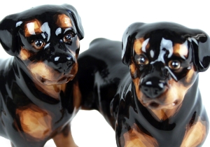 Rottweiler Cruet Set