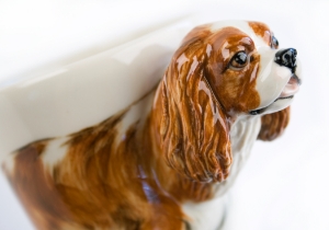 Cavalier King Charles Coffee Mug