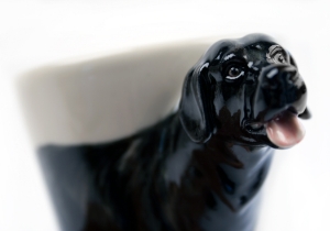 Kid’s best friend forever! If you are looking for the best dog breed for your family, bring home a Labrador Retriever. Devoted, obedient and amiable, the Lab is not only good with children also with other dogs and other pets. This lovable dog is captured beautifully on our Blue Witch ceramic.