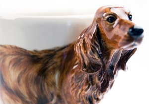 Affectionate, friendly and always eager to socialise the Irish Setter, seen on this Blue Witch ceramic, makes an ideal family pet or companion. The Irish Setter can also still be found working as a gun dog, the task for which it was originally bred.