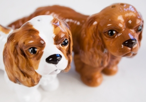 Cavalier King Charles Cruet Set