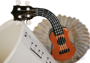 In Hawaii, the Ukulele is the most important instrument in their musical culture. The word means: ‘the gift that came here’ as it was brought to Hawaii by Portuguese settlers. Wonderfully presented by Blue Witch and a great gift for Ukulele fans.