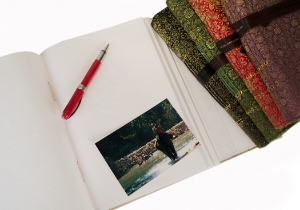 Sari Journal