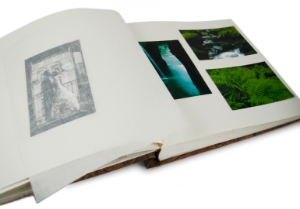 Giglio Photo Album