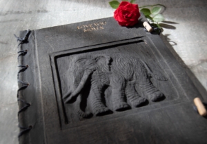 Elephant Journal